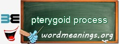 WordMeaning blackboard for pterygoid process